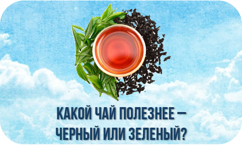 Какой чай полезнее - черный или зеленый? Какой чай полезнее - черный или зеленый?.